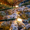 Bild von Govee String Lights 2S - 20M