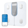 Bild von RENPHO Elis 1C Body Weight Scale