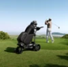 Bild von NAVEE Golf Trolley Birdie 3X 